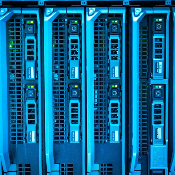 Server rack with bundled network cabling